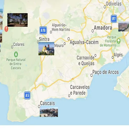 Casa vacanze Forest Village T2 *