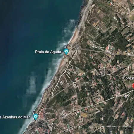 Forest Village T2 * Mindel